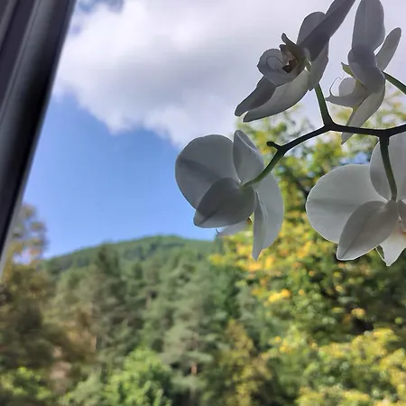 דירה Na Hasicskej Ulici *