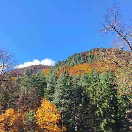 Na Hasicskej Ulici * Lubochna